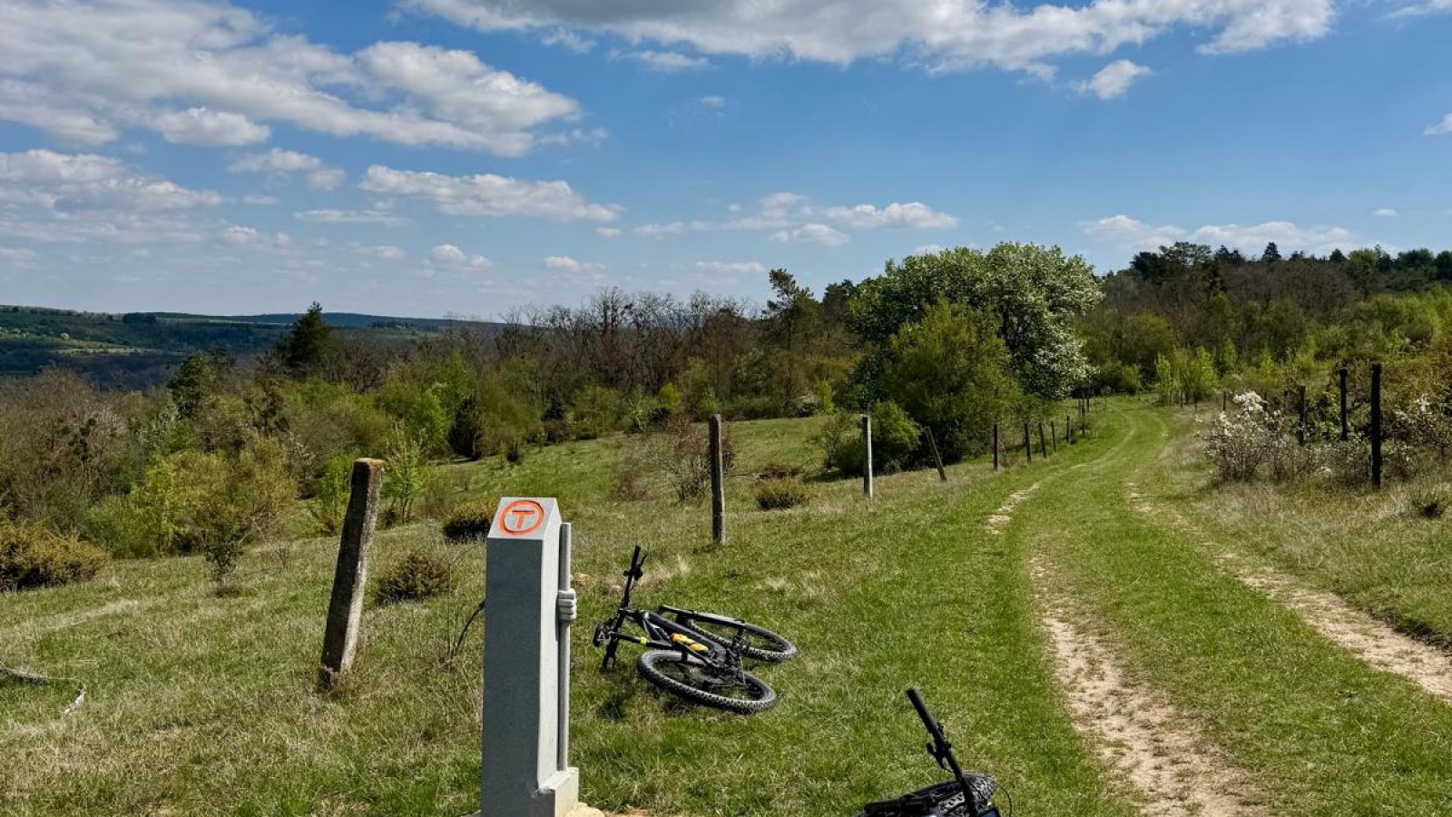 Tură e-Bike la Poiana Narciselor pe Via Transilvanica