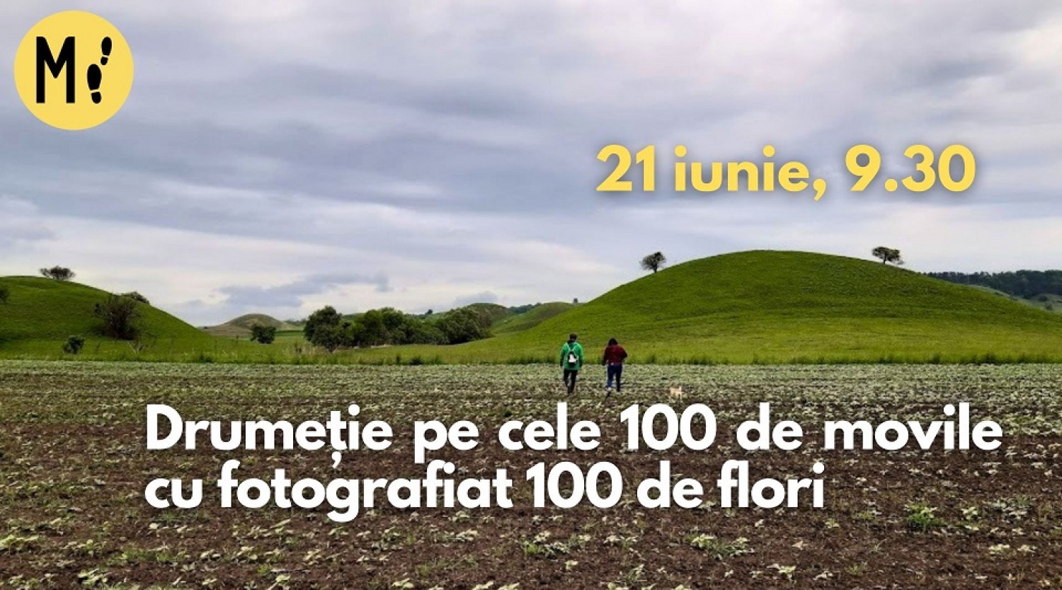 Drumeție pe cele 100 de coline cu fotografiat 100 de flori