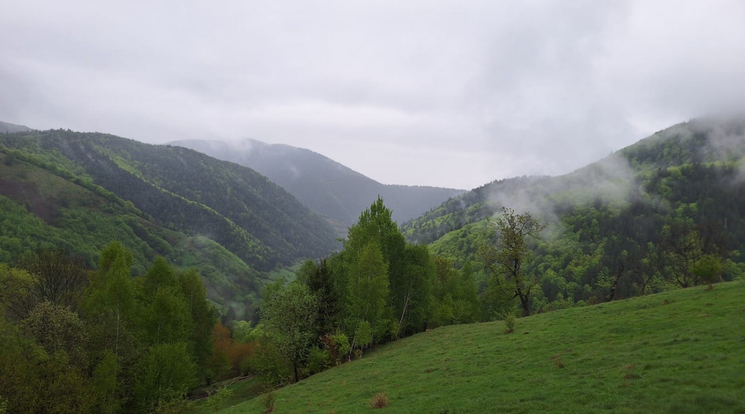 Drumeție în familie pe Dealul Fraga la cules de afine