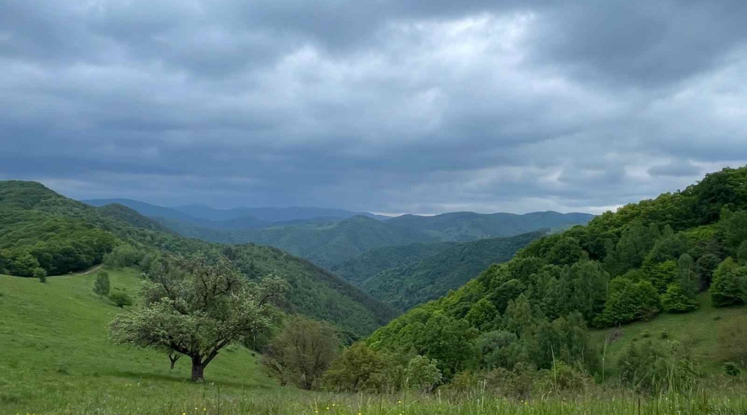 Drumeție de vacanță pentru copii și familii