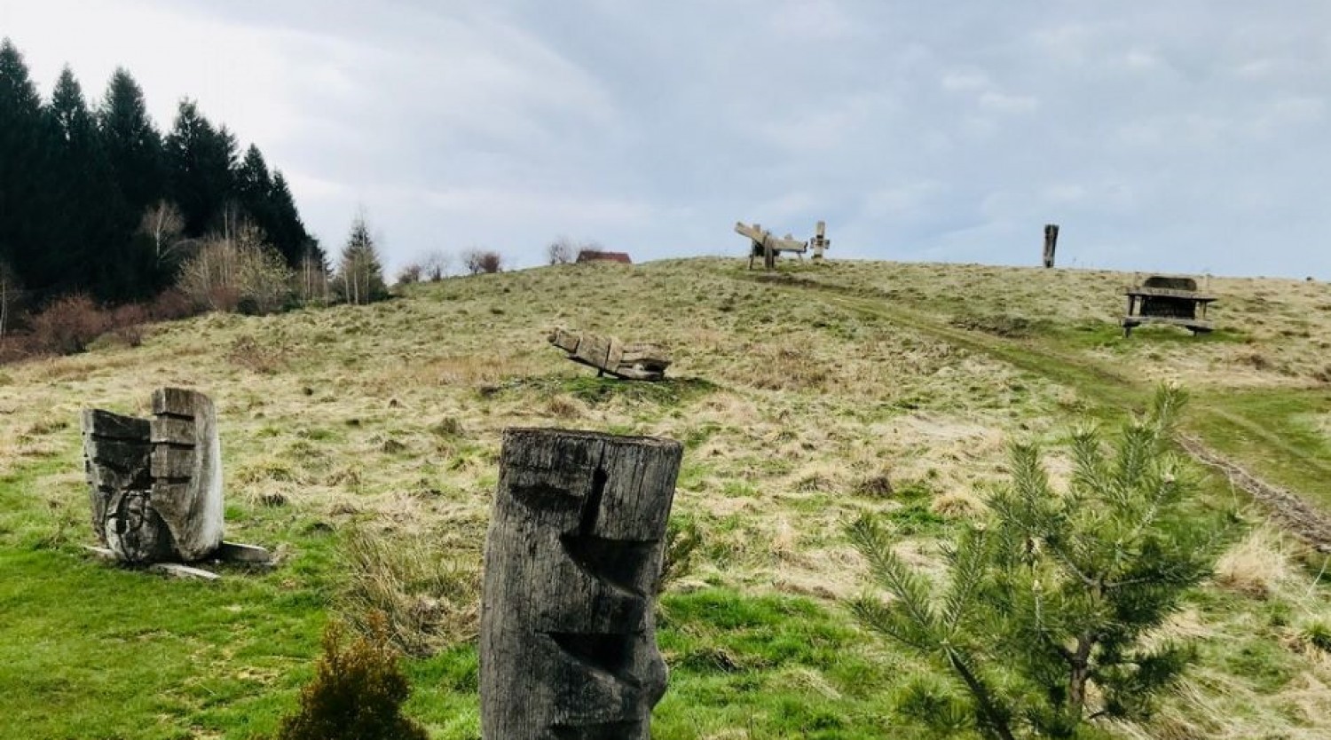 Cules de mure in Poiana Soarelui - popas la Schitul Foltea