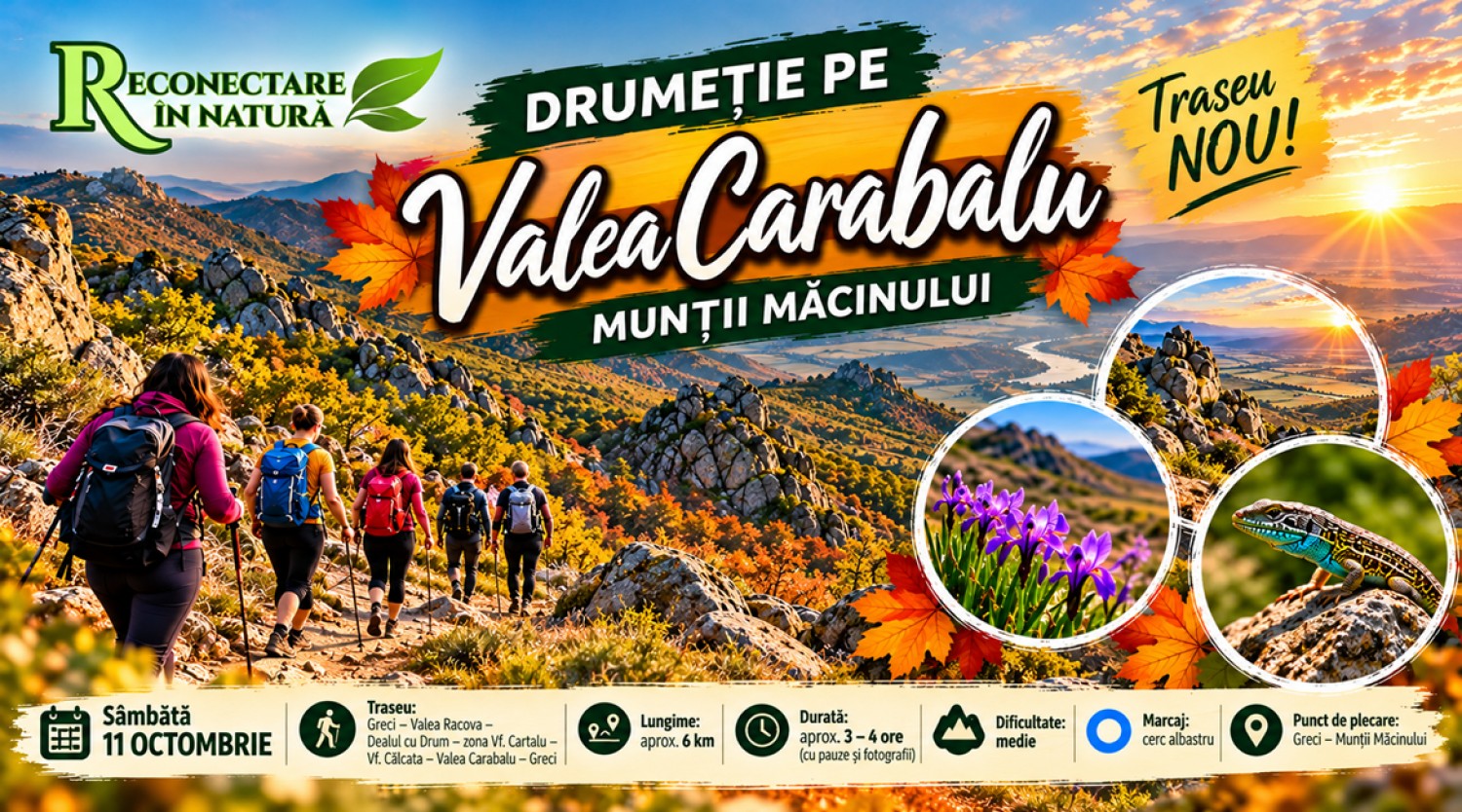 11 OCTOMBRIE 🍂 DRUMEȚIE PE VALEA CARABALU – MUNȚII MĂCINULUI 🥾