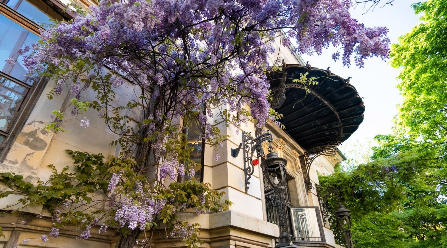 Poveşti aristocrate şi case frumoase din Bucureşti - tur pietonal