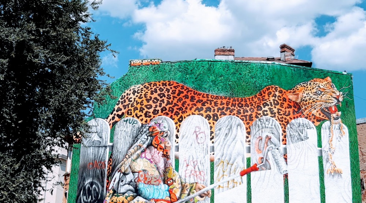 Descoperă arta stradală din București
