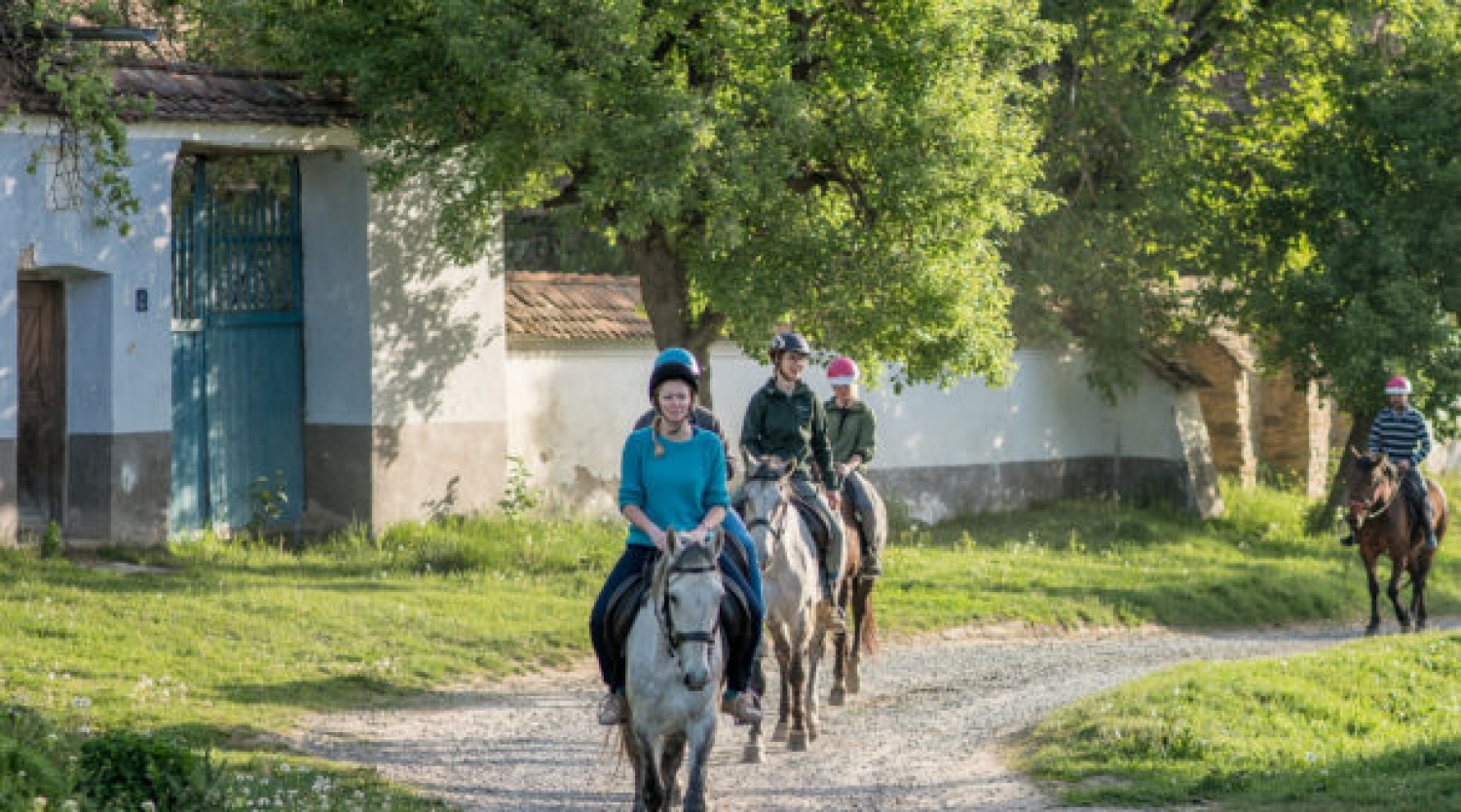 Plimbare pe cai in Viscri