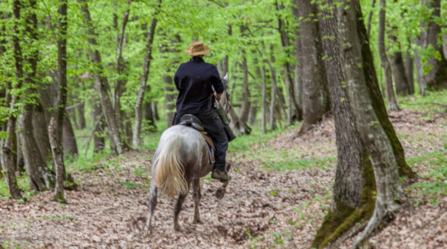 Plimbare de 4 zile pe cai in Viscri