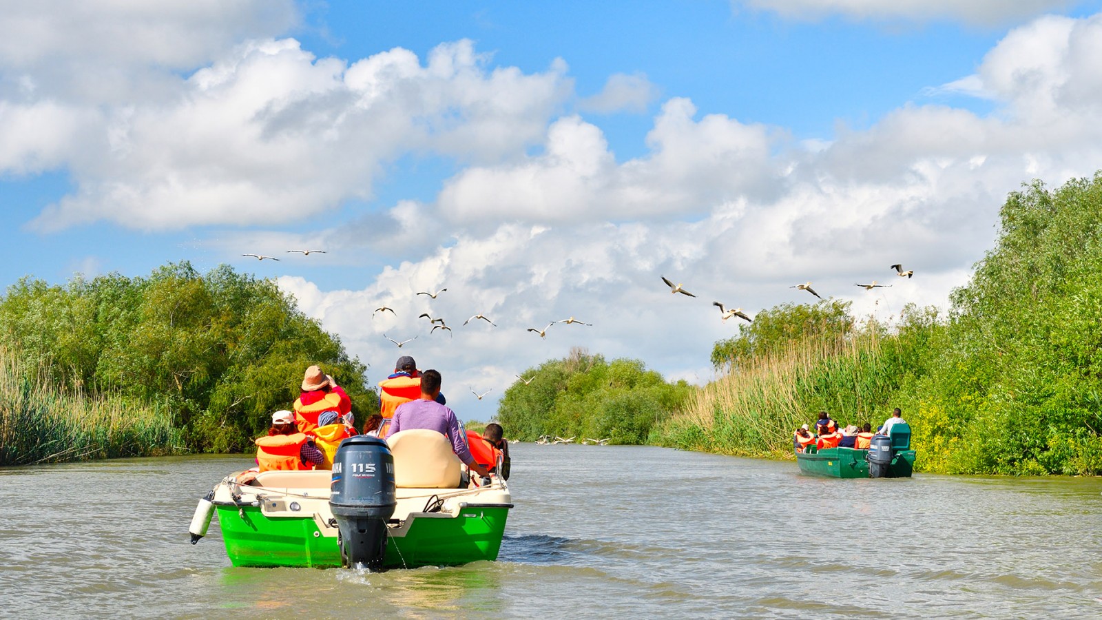 Excursie de o zi în Delta Dunării, cu Barcă Deschisă - Program Privat
