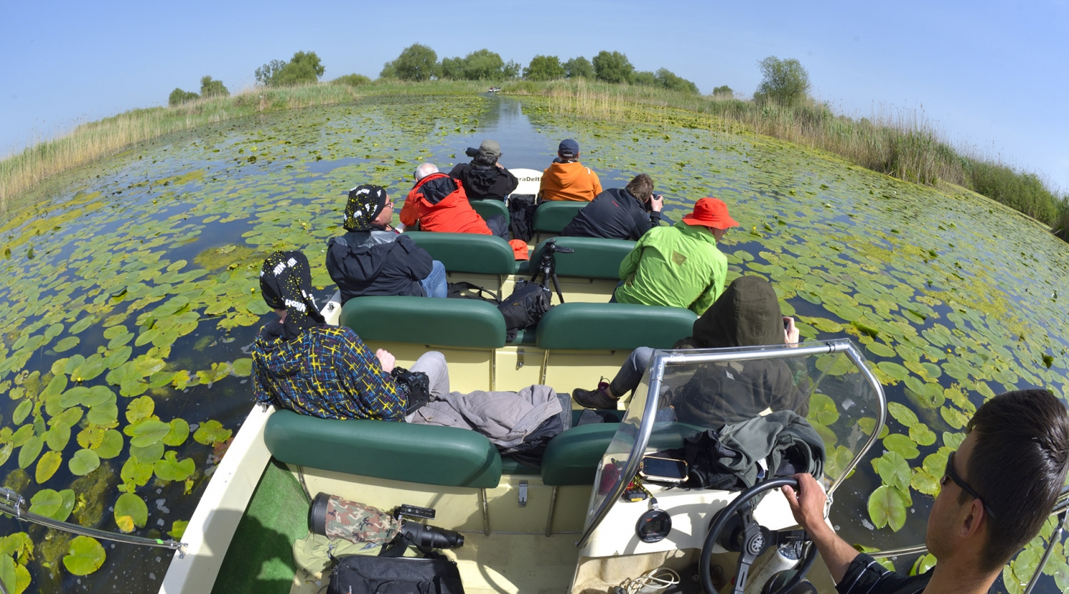 Excursie lentă de 4h în Delta Dunării - Nature Intensive - Program de Grup