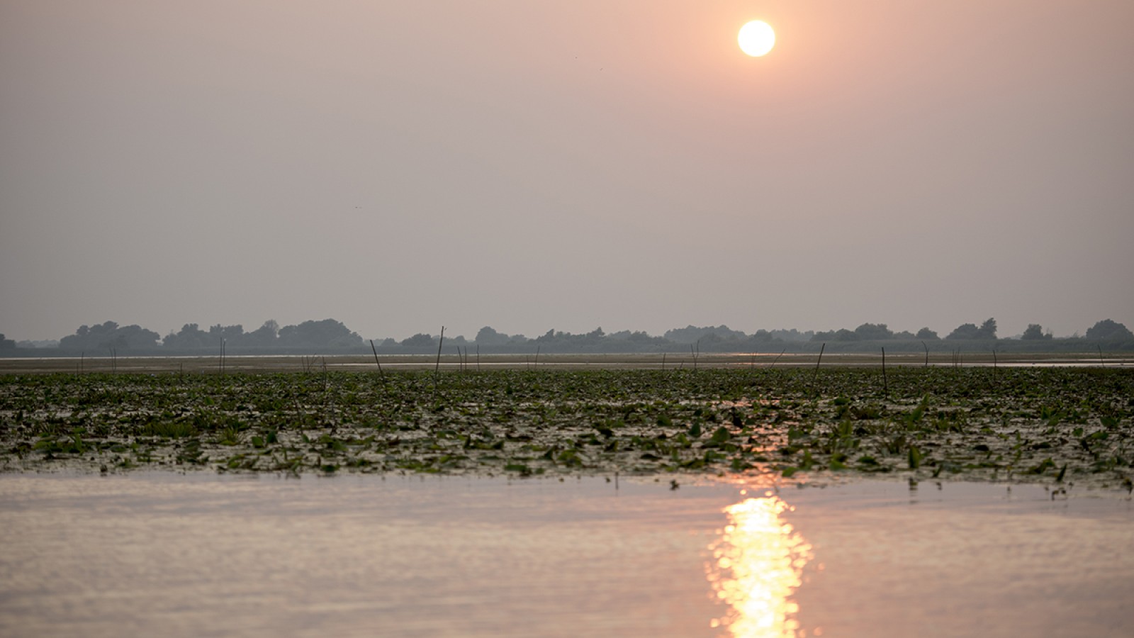 Excursie Lentă în Delta Dunării, cu Vaporașul - Program Privat