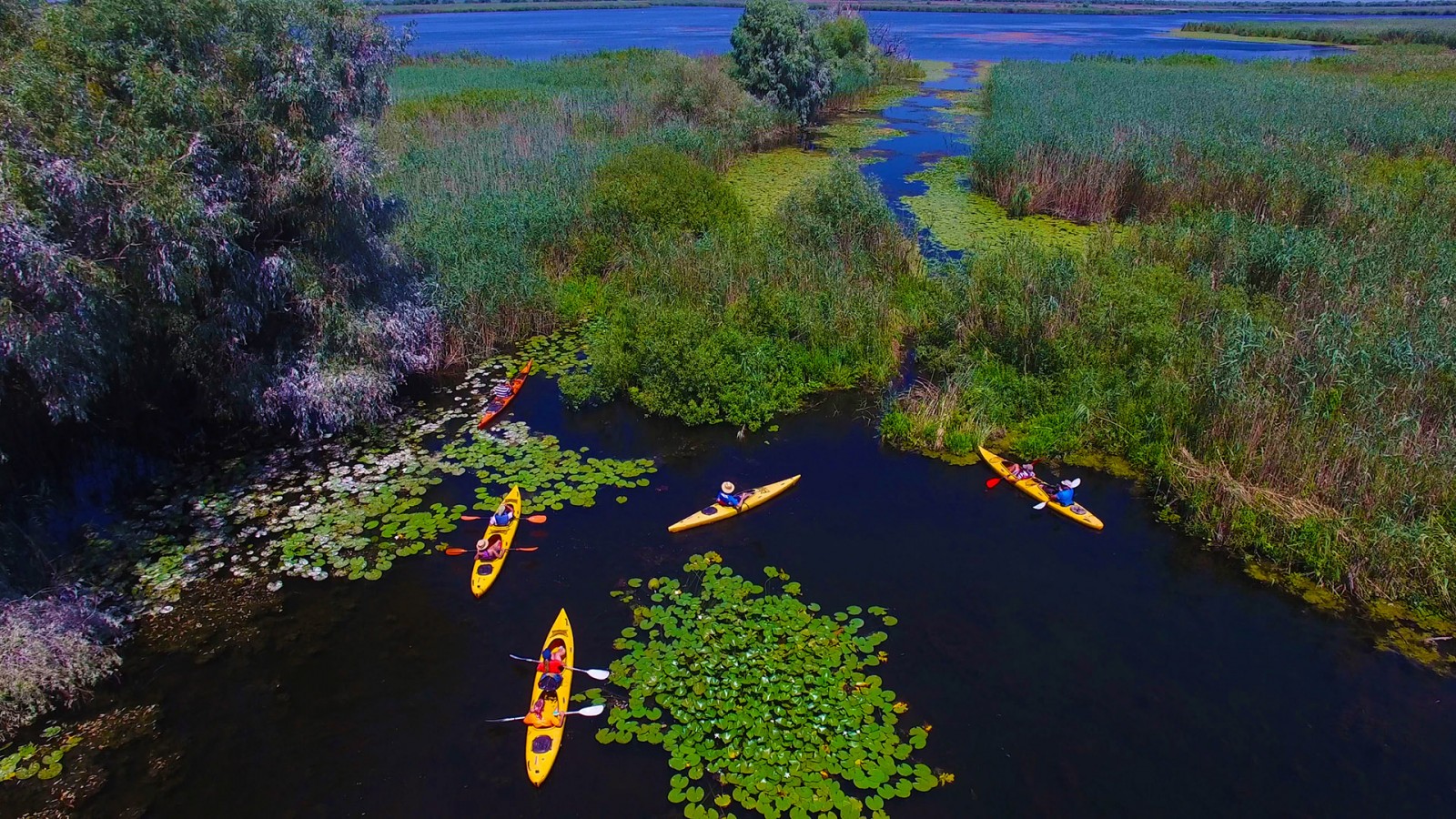 Self-guided Canoe Explorer în Delta Dunării, Mila23