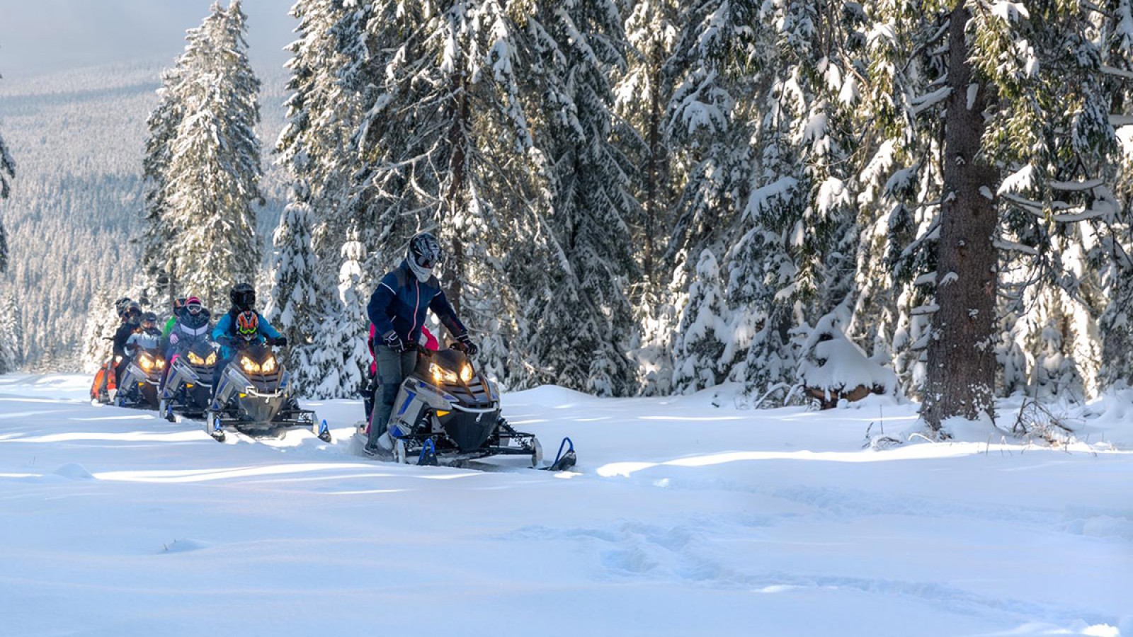 Explorează trasee cu snowmobilul în sălbăticie