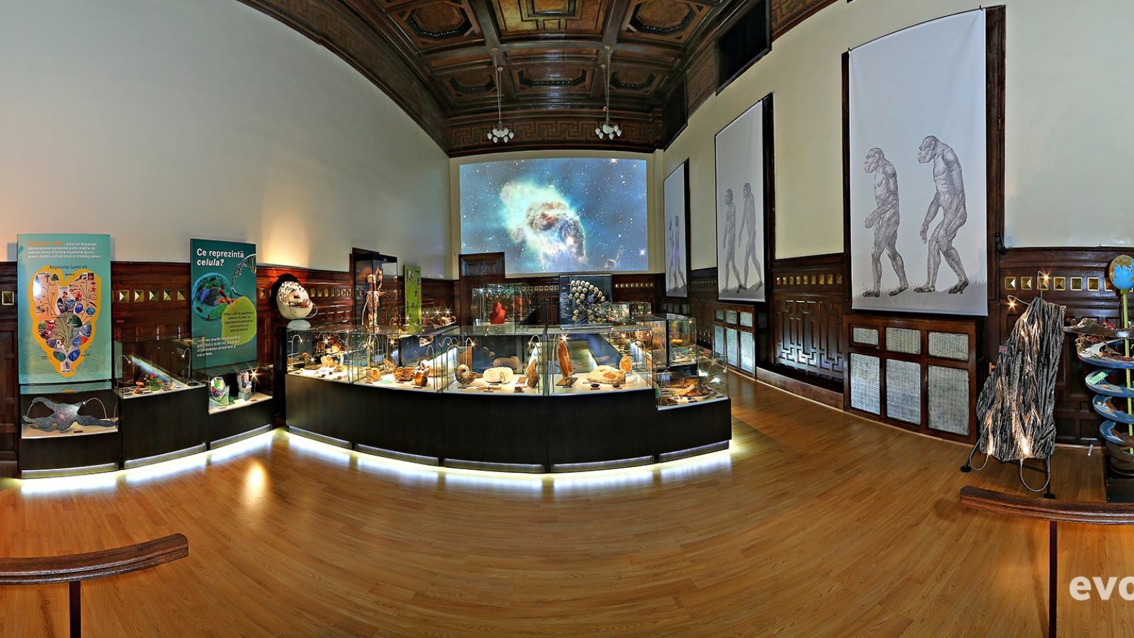 Muzeul Omului - Muzeul Judetean de Stiintele Naturii Prahova