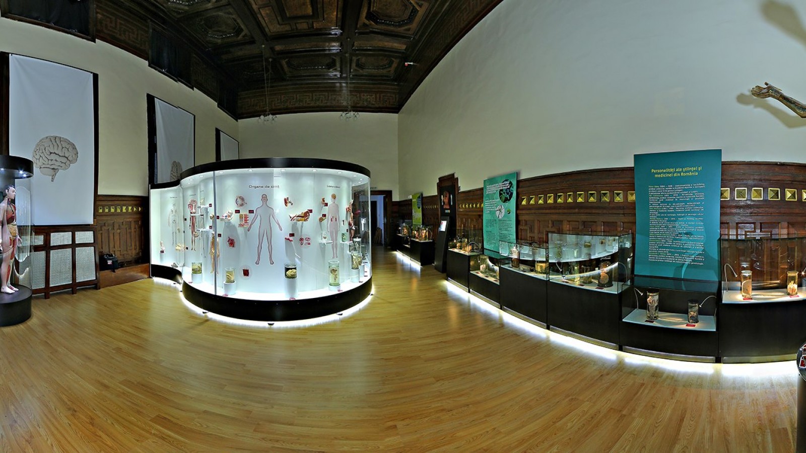 Muzeul Omului - Muzeul Judetean de Stiintele Naturii Prahova