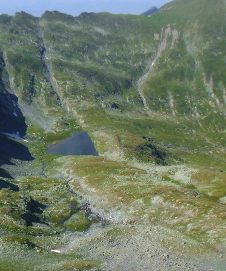 Drumetie in Muntii Fagaras - Valea Vistei Mari