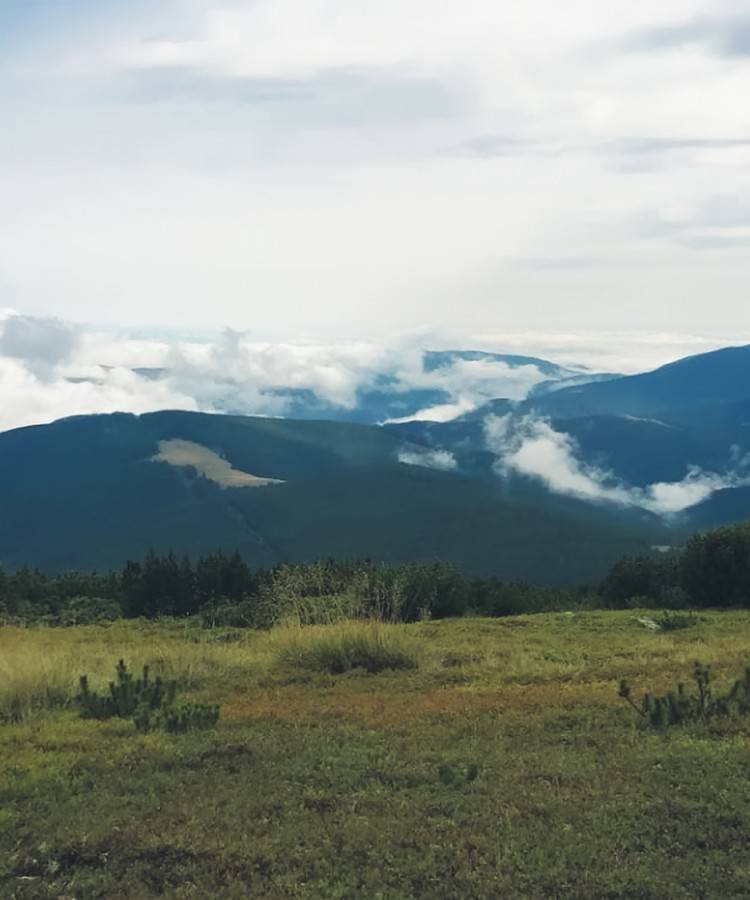 Drumetie in Muntii Lotrului - Varful Negovanu Mare