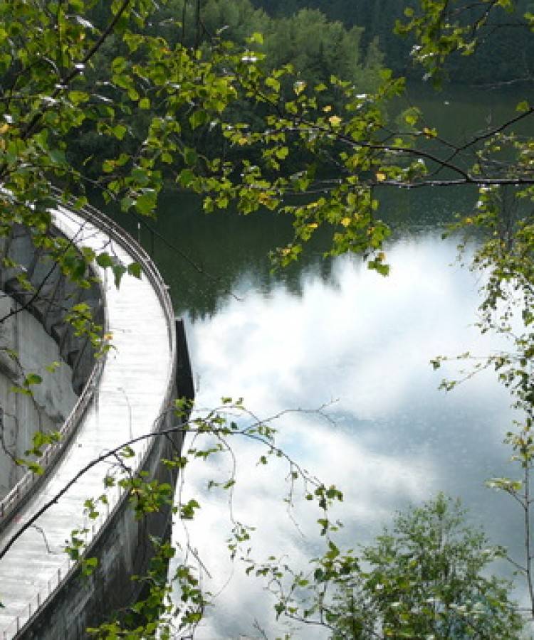 Drumetie de primăvară Păltiniş - Lacul Negoveanu
