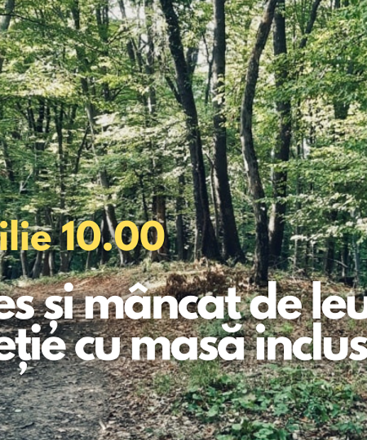 La cules și mâncat de leurdă. Drumeție cu masa inclusă
