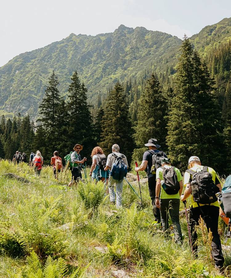 Drumetie in Muntii Fagaras - Valea Doamnei