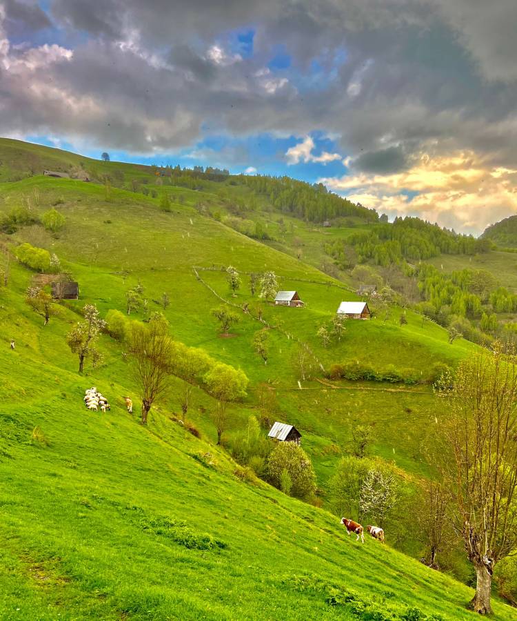 La pas prin Țara Colibelor