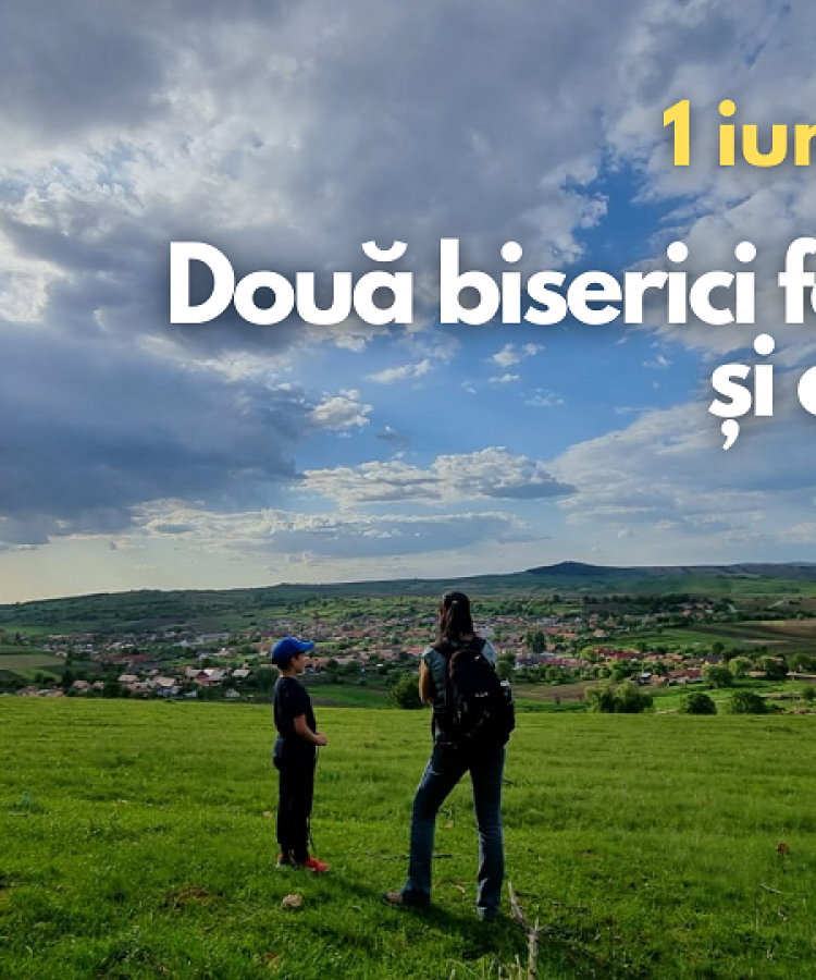 Două biserici fortificate și o pădure