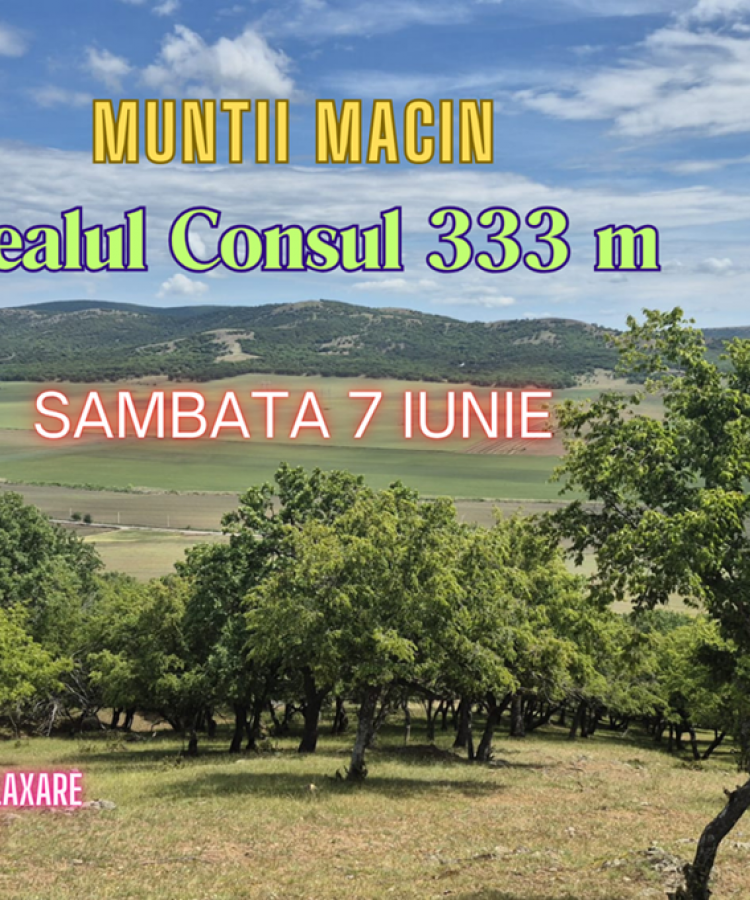 7 IUNIE: Traseu DEALUL CONSUL in Muntii Macin