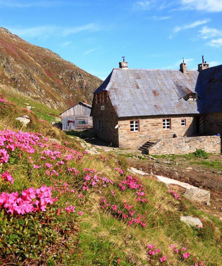 Drumetie in Muntii Fagaras - Valea Arpasului Mare, Lacul Podragel