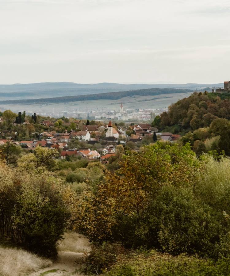 Circuit Rășinari – Păd. Catrina - Cisnădioara - Rășinari